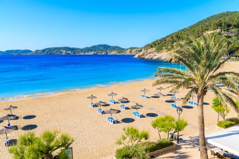 Palm,Tree,And,Sun,Loungers,On,Sandy,Cala,San,Vicente