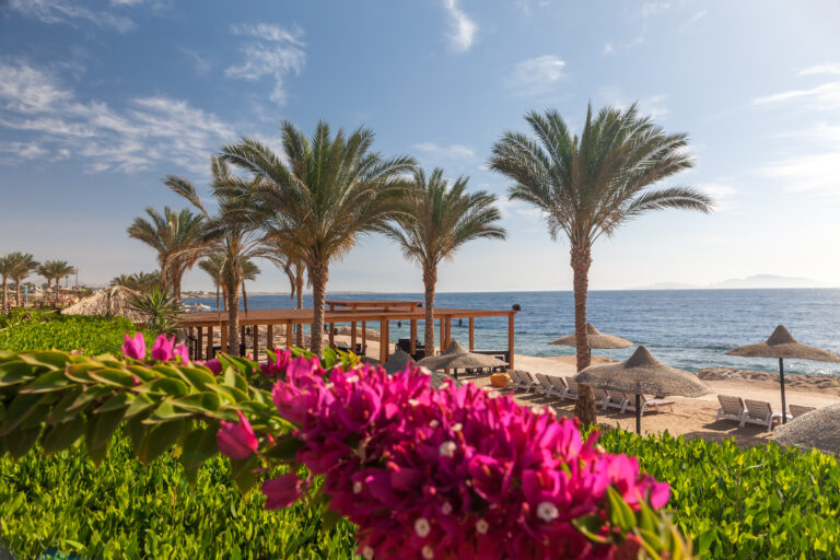 The,Beach,At,The,Luxury,Hotel,,Sharm,El,Sheikh,,Egypt